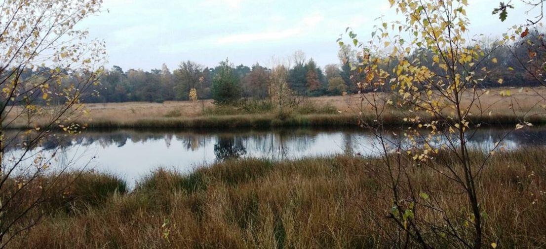 website natuur.resizecrop-1106x506