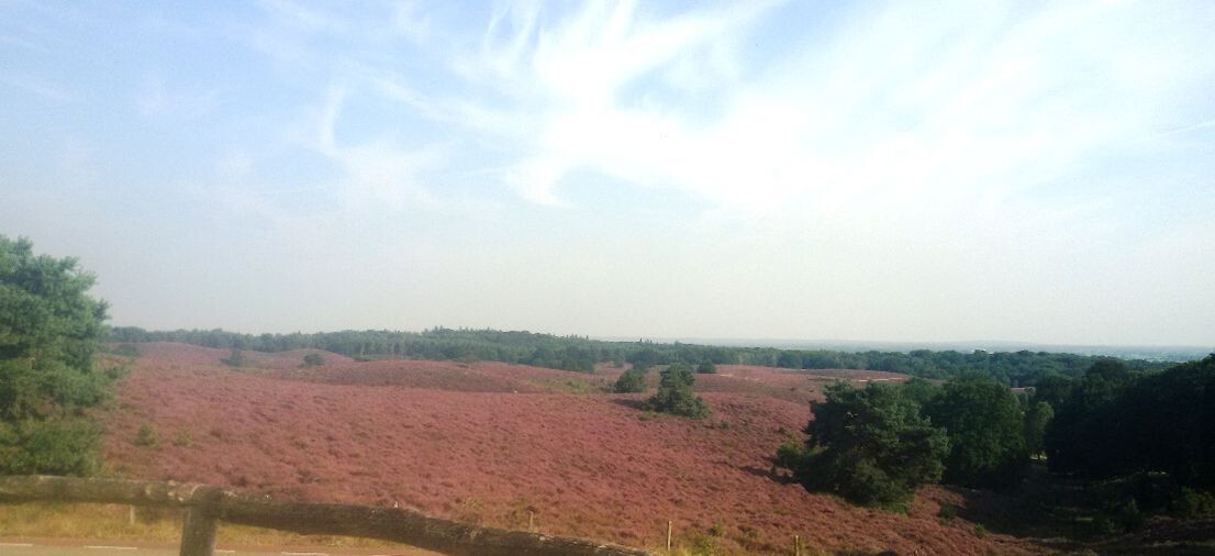 website posbank22.resizecrop-1106x506