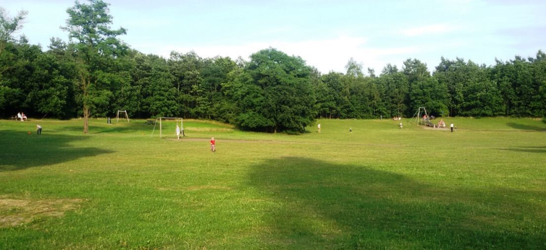 website stakenberg19.resizecrop-1106x506