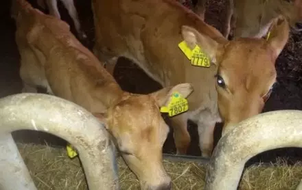 20151105_085122.resizecrop-475x300